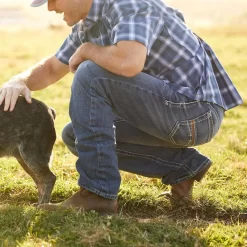 Ariat Men's M4 Low Rise Coltrane Boot Cut Jeans (10017511)
