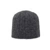 Pistil Wagner Beanie